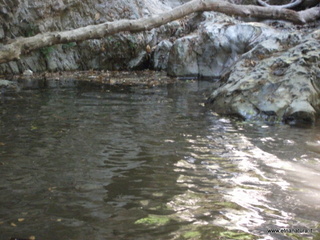 ldaia del Drago19-07-2015 11-44-20